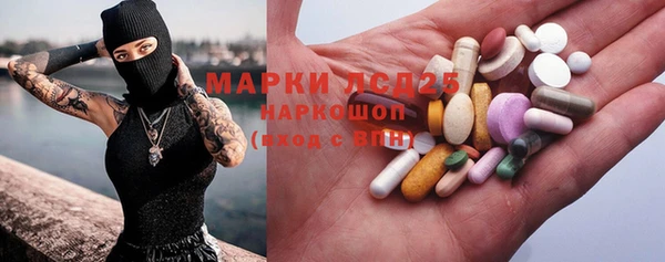 прущие грибы Краснослободск