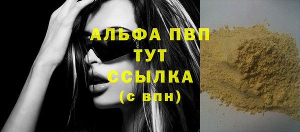 прущие грибы Краснослободск