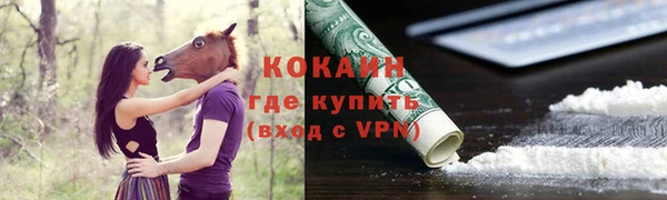 прущие грибы Краснослободск