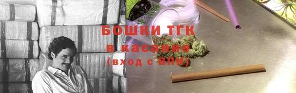 прущие грибы Краснослободск
