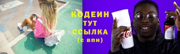 прущие грибы Краснослободск