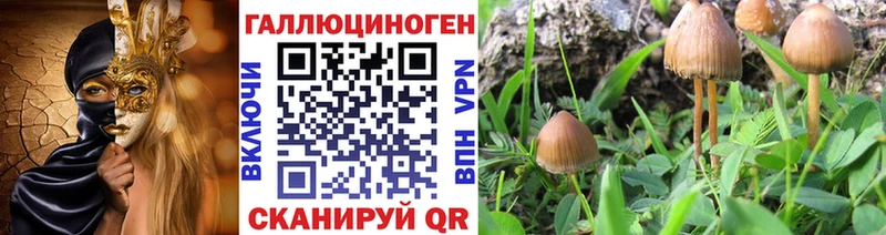 Псилоцибиновые грибы MAGIC MUSHROOMS  Купить где  Кольчугино 